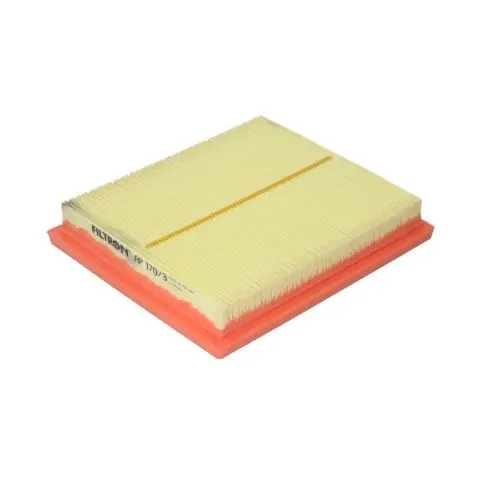 Nézd meg most Filtron Levegőszűrő PRIUS, PRIUS PLUS, RAV 4 IV 1.8H/2.5H 06.08-AP 170/3