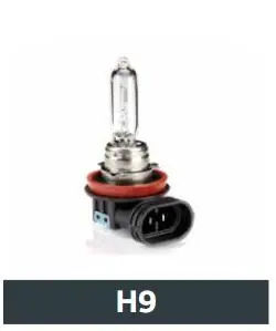 Azonnali szállítás Izzó H9 65W