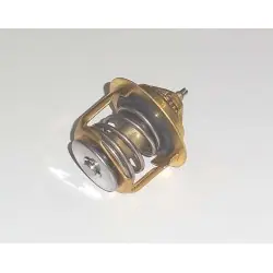 TMT-202 termosztát Azonnali szállítás