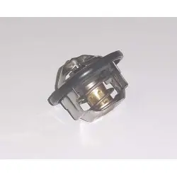 Szuper ajánlat TMT-201 termosztát