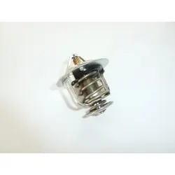 Nézd meg most TMT-101 termosztát