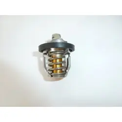 TMT-306 termosztát Akciós ár