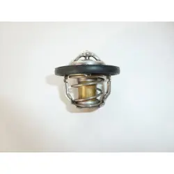 TMT-305 termosztát Expressz szállítás