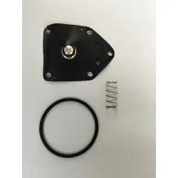 FCK-56 benzincsap felújító szett Expressz kézbesítés