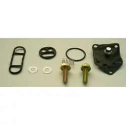 Árengedmény FCK-21 benzincsap felújító szett