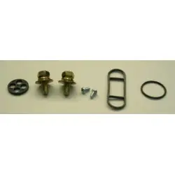 Azonnali szállítás FCK-19 benzincsap felújító szett