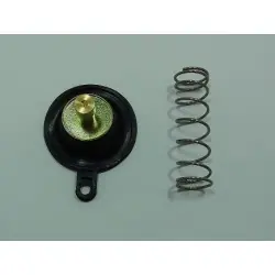 Expressz szállítás ACV-207 levegő fojtószelep