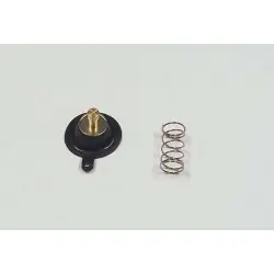 ACV-201 levegő fojtószelep Expressz szállítás