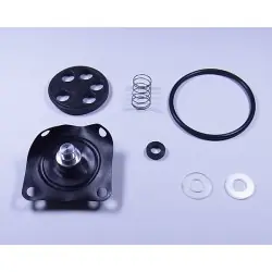 Újdonság FCK-6 benzincsap felújító szett